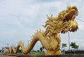 501.9 ft LONG GIANT DRAGON STATUE SYMBOL OF GLORY, PROTECTION OF PROSPERITY and BRINGER OF LUCK. Royalty Free Stock Photo