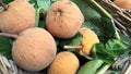 Fresh Santol fruits in bamboo basket