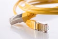 FTP Cable Royalty Free Stock Photo