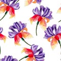 Fuchsia flower watercolor seamless pattern. Bright tropical flowers isolated on white background.