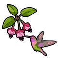 Fuchsia and hummingbird embroidery patch