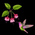 Fuchsia and hummingbird embroidery