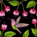 Fuchsia and hummingbird embroidery seamless pattern