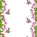 Fuchsia and Hummingbird Seamless Border