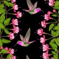 Fuchsia and Hummingbird Seamless Pattern