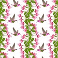 Fuchsia and Hummingbird Seamless Pattern