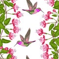 Fuchsia and Hummingbird Seamless Pattern