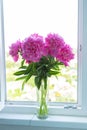 Fuchsia peonies bouquet in the vase on white windowsill. Backlit, close up.