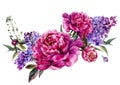 Fuchsia Peonies and Lilac Watercolor Decoration