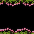 Fuchsia Seamless Double Border