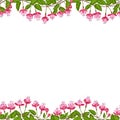 Fuchsia Seamless Double Border