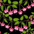 Fuchsia Seamless Pattern