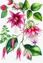 Fuchsia watercolor hand-drawn illustration. AI Generated Royalty Free Stock Photo