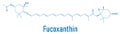 Fucoxanthin brown algae pigment molecule. Ingredient of some dietary supplements. Skeletal formula. Royalty Free Stock Photo