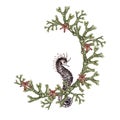 Fucus seaweed wreath. Seahorse. Watercolor illustration. High quality