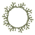 Fucus seaweed wreath. Watercolor illustration. High quality