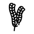 fucus vesiculosus seaweed line icon vector illustration Royalty Free Stock Photo
