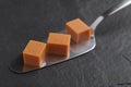 Fudge blocks on a cake server Royalty Free Stock Photo