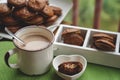 Fudge brownie cookies with penut and cheese filling with cacao on the mug Royalty Free Stock Photo