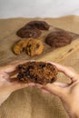 Fudgy Soft Baked Chocochip Cookies