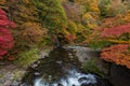 Fudo stream in autumn season at Nakano momiji mountain. Royalty Free Stock Photo