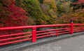 Fudo stream in autumn season at Nakano momiji mountain. Royalty Free Stock Photo