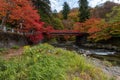 Fudo stream in autumn season at Nakano momiji mountain. Royalty Free Stock Photo