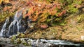 Fudo stream and the red bridge at Mount Nakano-Momiji Royalty Free Stock Photo