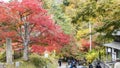 Fudo stream and the red bridge at Mount Nakano-Momiji Royalty Free Stock Photo