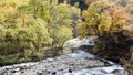 Fudo stream and the red bridge at Mount Nakano-Momiji Royalty Free Stock Photo