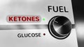 Fuel: Ketones / Glucose video