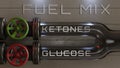 Fuel Mix: Ketones / Glucose