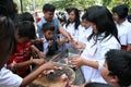 Fuel students Meat Sate Together Celebrating Idhul Adha Royalty Free Stock Photo