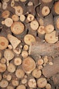 Fuelwood Royalty Free Stock Photo