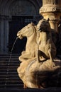 Fuente de los Caballos - Santiago de Compostela Royalty Free Stock Photo