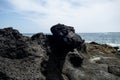 Fuertaventura,Cotillo, Canarias, Spain,lava detail