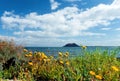 beautiful landscape of a Fuerteventura lagoon in the canary islands