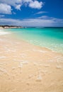 Fuerteventura, Burro Beach Royalty Free Stock Photo