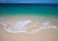 Fuerteventura, Burro Beach Royalty Free Stock Photo