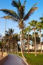 Fuerteventura Caleta del Fuste Canary Islands