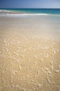 Fuerteventura, Canary Islands, Playa del Matorral Royalty Free Stock Photo