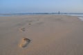 Fuerteventura Gorreones Sotavento beach 11