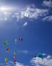 FUERTEVENTURA, SPAIN - NOVEMBER 10: Save Our Seas kite with household plastics attached to tail flies at 31th International Kite