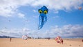 FUERTEVENTURA, SPAIN - NOVEMBER 08: Viewers watch from the ground as multicolored kites fill the sky at 27th International Kite F