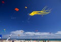 FUERTEVENTURA, SPAIN - NOVEMBER 10: Visitors enjoy beautiful display of flying kites of at 31th International Kite Festival,