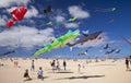 FUERTEVENTURA, SPAIN - NOVEMBER 10: Visitors enjoy beautiful display of flying kites of at 31th International Kite Festival,