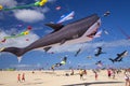 FUERTEVENTURA, SPAIN - NOVEMBER 10: Visitors enjoy beautiful display of flying kites of at 31th International Kite Festival,