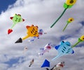 FUERTEVENTURA, SPAIN - NOVEMBER 10: Visitors enjoy beautiful display of flying kites of at 31th International Kite Festival, Royalty Free Stock Photo