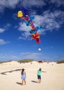 FUERTEVENTURA, SPAIN - NOVEMBER 10: Visitors enjoy beautiful display of flying kites of at 31th International Kite Festival,