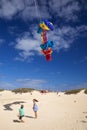 FUERTEVENTURA, SPAIN - NOVEMBER 10: Visitors enjoy beautiful display of flying kites of at 31th International Kite Festival,